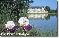 Le Parc de Courson en �t�