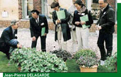 Le Jury International de Courson