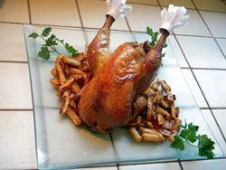 Pintade_final.jpg