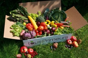 Panier de fruits et légumes de saison