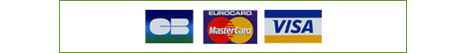 Carte Bleue, Master Card et Carte Visa et Visa International