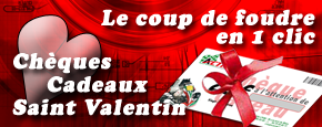new_Pub-accueil-St-Valentin.png